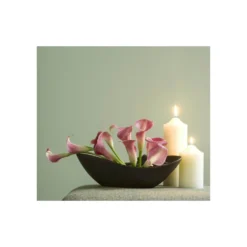 Craig & Rose 1829 Eggshell Paint Esterhazy - 2.5L -Keter Store 12817695 1664832956391424