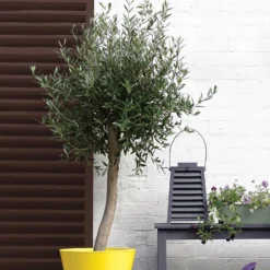 Sandtex® Exterior 10 Year Gloss Paint Chestnut Brown - 750ml -Keter Store 12838516 6864872087922731