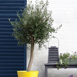 Sandtex® Exterior 10 Year Gloss Paint Oxford Blue - 750ml -Keter Store 12839227 1814872088258659