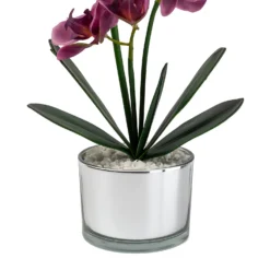 Orchid With Silver Glass Pot - Purple -Keter Store 12879285 1054864281948609
