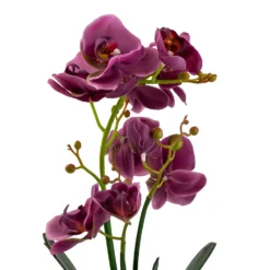 Orchid With Silver Glass Pot - Purple -Keter Store 12879285 2084864281975504