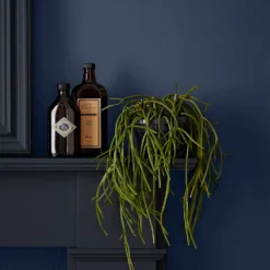 Crown Easyclean Bathroom Paint Midnight Navy - 40ml -Keter Store 12886554 1294853989547064