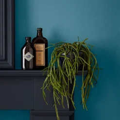 Crown Easyclean® Mouldguard+ Bathroom Mid Sheen Washable Multi Surface Paint Teal® - 2.5L -Keter Store 12886785 1744853415906324