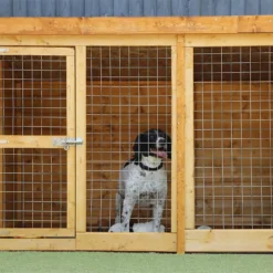 Mercia 10 X 4 Dog Kennel & Run (Installed) -Keter Store 12888271 2014843293748533