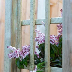 Mercia Curved Arch -Keter Store 12888302 6134849860614286