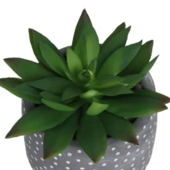 Small Succulent - Grey -Keter Store 12909500 1734869235660464