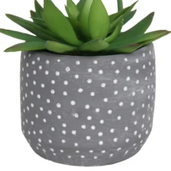 Small Succulent - Grey -Keter Store 12909500 2024869235581411