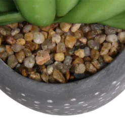 Small Succulent - Grey -Keter Store 12909500 5574869235621944