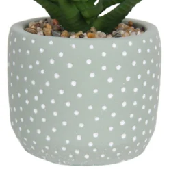 Small Succulent - Green -Keter Store 12909501 1514869235621446