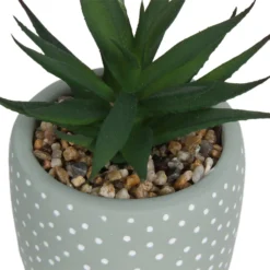 Small Succulent - Green -Keter Store 12909501 2094869235594320