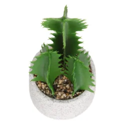 Cactus In Textured Pot -Keter Store 12909506 2804869235539384