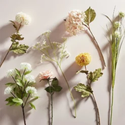 Viburnum - White -Keter Store 12913557 1114866647515368