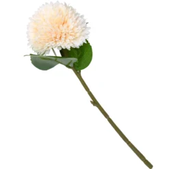 Chrysanthemum - Peach