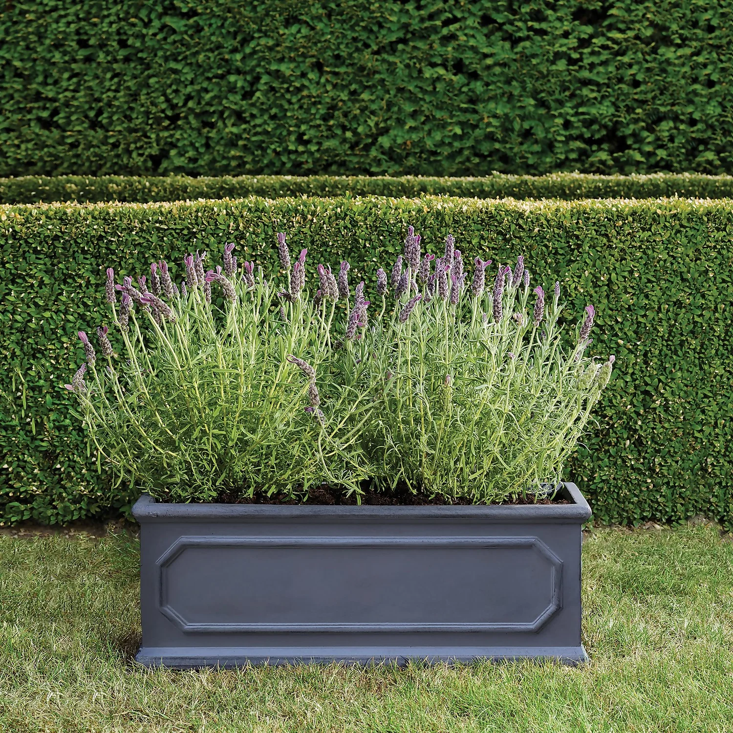 Mayfair Lead Trough - 50cm Mayfair Lead Trough - 50cm -Keter Store 13176826 1534943628076677