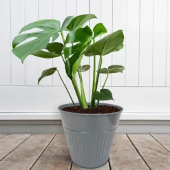 Ribbed Planter (3 Colour Mix) - 18cm -Keter Store 13193953 1834933504482486