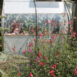 Thorndown Adonis Blue Peelable Glass Paint 150ml 5 Thorndown Adonis Blue Peelable Glass Paint 150ml -Keter Store 13301816 1004920550474359