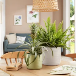 Scheurich Ripple White Indoor Pot - 20cm 2 Scheurich Ripple White Indoor Pot - 20cm -Keter Store 13953260 1154987120198644