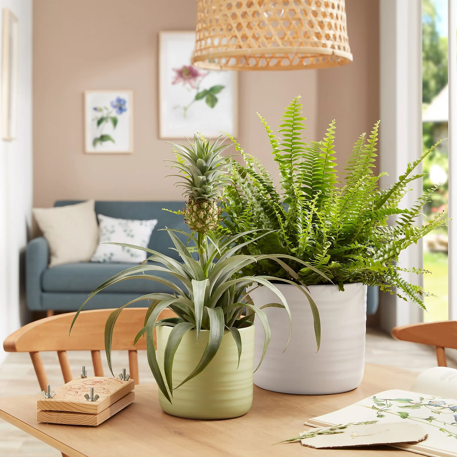 Scheurich Ripple White Indoor Pot - 20cm Scheurich Ripple White Indoor Pot - 20cm -Keter Store 13953260 1154987120198644