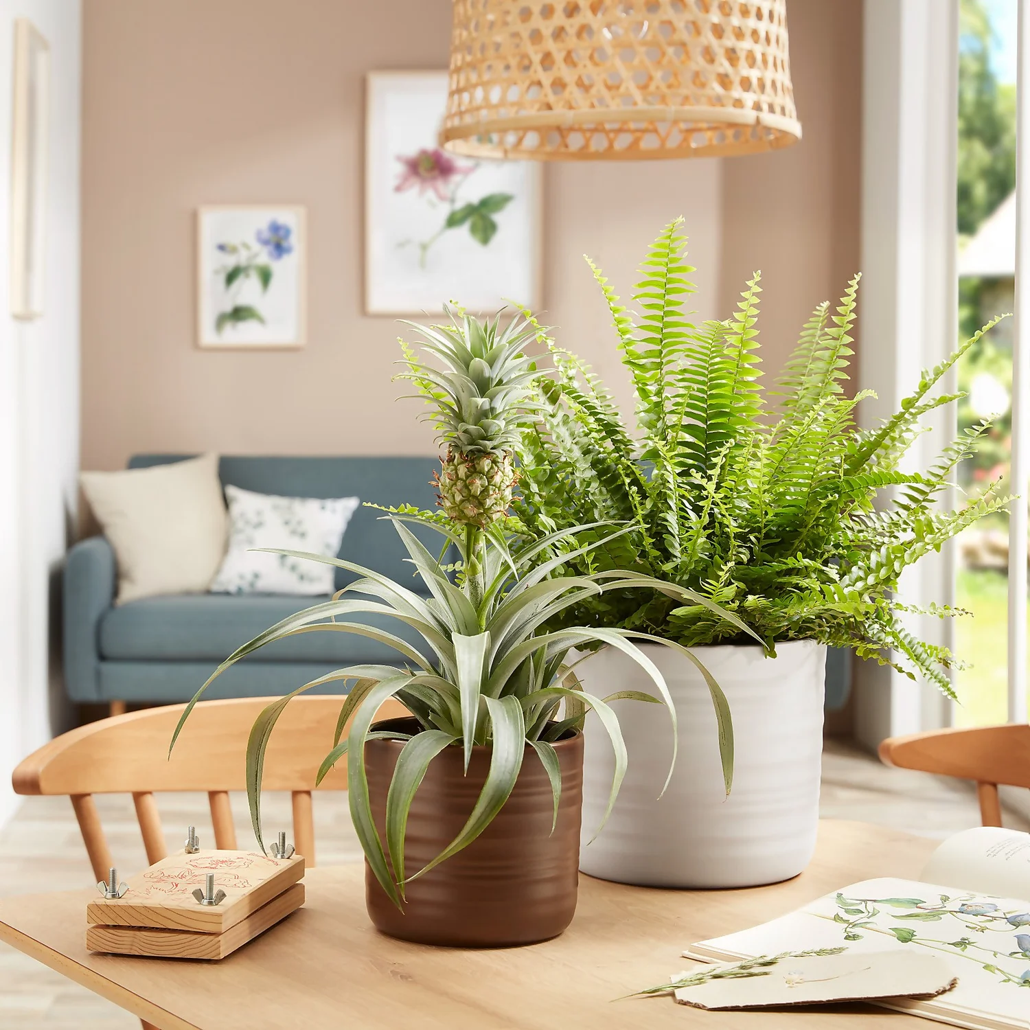 Scheurich Ripple White Indoor Pot - 20cm Scheurich Ripple White Indoor Pot - 20cm -Keter Store 13953260 2084987120140852